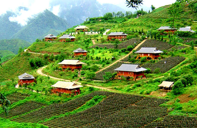 Bản Cát Cát